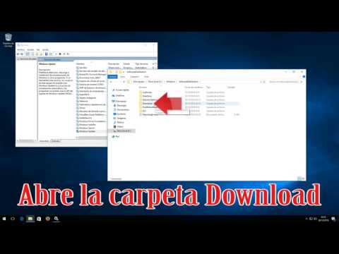Cómo Solucionar Problemas Comunes al Actualizar Windows 10