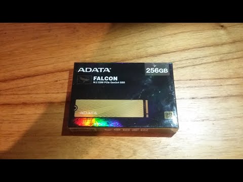 Guía de Compatibilidad del SSD Adata Falcon con Sistemas