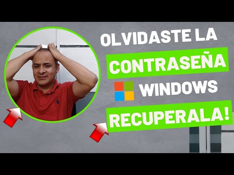 Recuperar contraseña olvidada en Windows XP de manera segura
