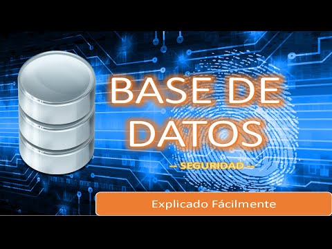 Seguridad en clientes Java: Cómo proteger tus datos