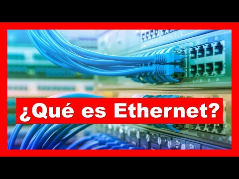 Seguridad en Redes: La Importancia del Conector Ethernet