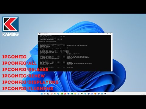 Cmd Displaydns: Comprendiendo su función en la red local