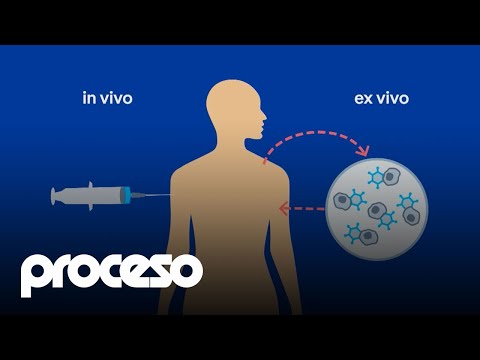 Impacto de la Clonación Celular en la Terapia Génica