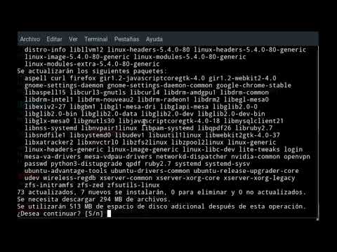 Actualización de paquetes en Debian Server: Guía completa