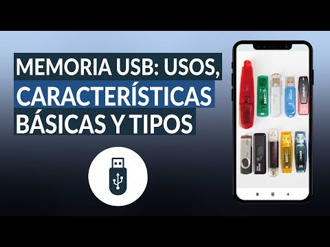 Guía completa sobre conversores USB: Tipos y usos