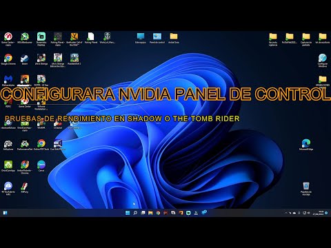 Configuración óptima de DirectX en VMware para desarrolladores