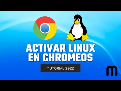 Compatibilidad de aplicaciones en Ubuntu para Chromebook