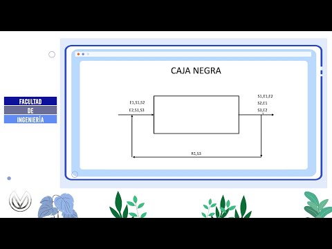Causas de fallos en sistemas de caja negra