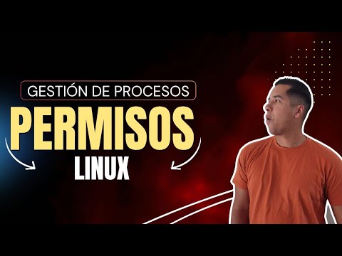 Diferencias entre chown y chgrp en Sistemas Linux