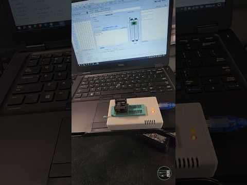Configuración avanzada del BIOS en Dell para gamers