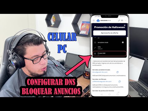 Configuración correcta del DNS para evitar caídas