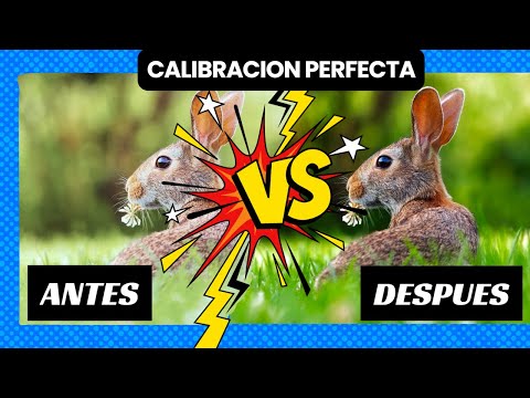 Consejos para calibrar pantallas en sistemas operativos Windows