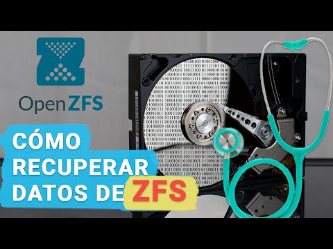 Recuperación de datos en Aswordfish: Métodos efectivos