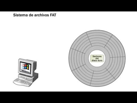 Compatibilidad de Archivos FAT con Sistemas Operativos Modernos