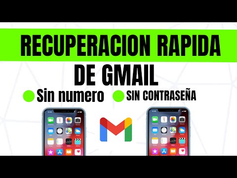 ¿Qué hacer si olvidaste la contraseña de Google?