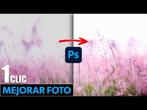 Cómo convertir imágenes en Photoshop: técnicas avanzadas