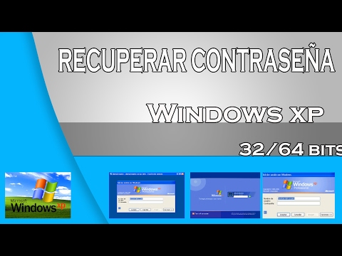 Guía para la gestión de contraseñas en Windows XP