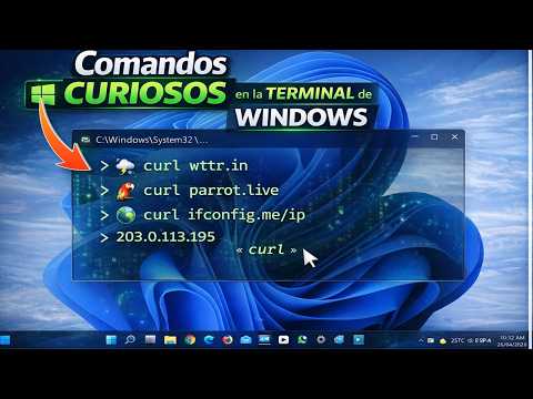 Seguridad al usar Curl en Windows: mejores prácticas