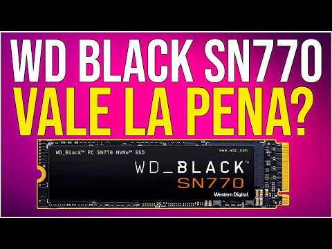 Prevención de Pérdida de Datos en el Black SN770: Mejores Prácticas