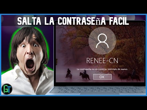 Pasos para recuperar tu cuenta de Windows Live fácilmente