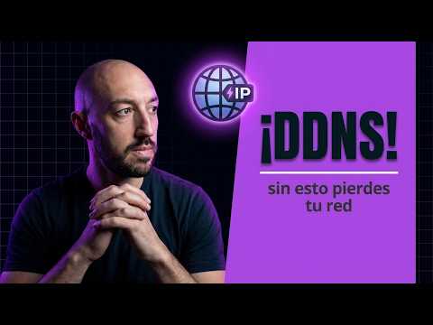 Impacto de DynDNS en el rendimiento de la red