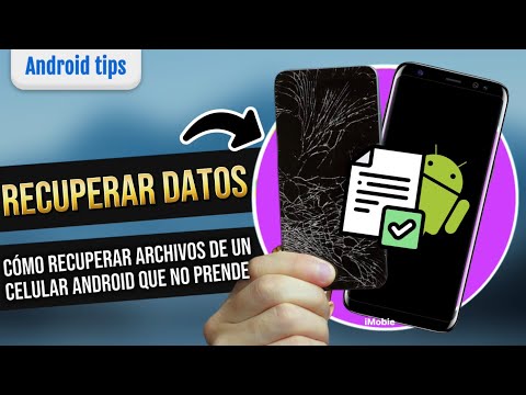 Cómo recuperar datos borrados accidentalmente en celulares