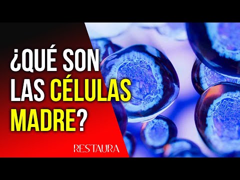 Clonación Celular y su Aplicación en Medicina Regenerativa