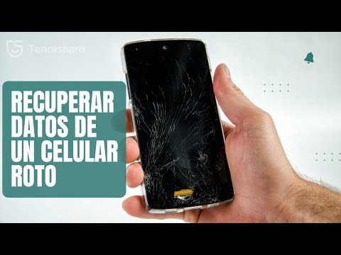 Formas de recuperar datos de un celular con pantalla rota