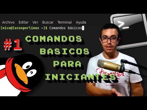 Guía completa de comandos de red en CMD de Linux