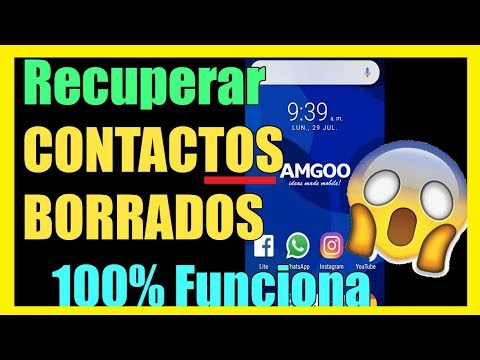 Guía para restaurar contactos eliminados desde la nube