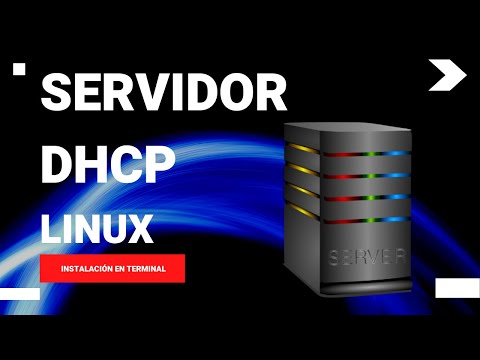 Configuración de redes en Debian Server: Paso a paso