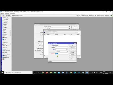 Guía paso a paso para implementar DNS estático en tu red