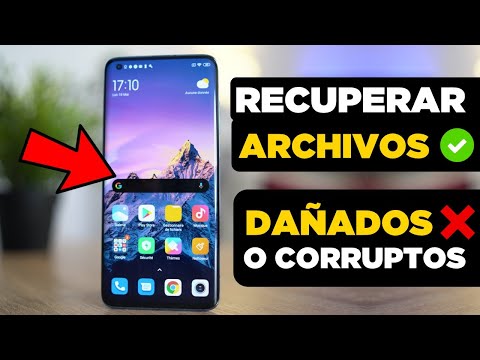 Recuperación de Drivers de Video Perdidos o Corruptos